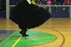 VI Muestra Danza (24) (Copy)