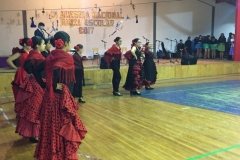 VI Muestra Danza (28) (Copy)