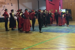 VI Muestra Danza (32) (Copy)