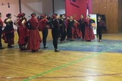 VI Muestra Danza (33) (Copy)