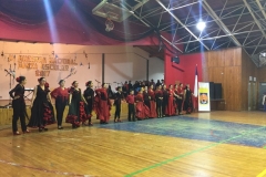 VI Muestra Danza (34) (Copy)