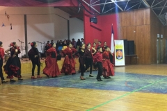 VI Muestra Danza (35) (Copy)