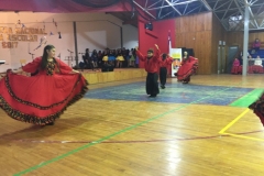 VI Muestra Danza (44) (Copy)