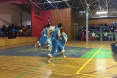 VI Muestra Danza (50) (Copy)