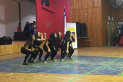 VI Muestra Danza (54) (Copy)