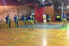 VI Muestra Danza (67) (Copy)