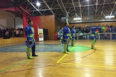 VI Muestra Danza (69) (Copy)