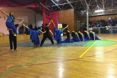 VI Muestra Danza (85) (Copy)