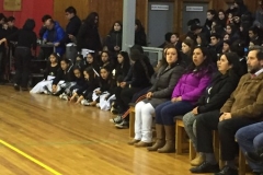 Formación Ciudadana (8)