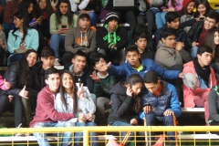 Interliceos Quemchi (1)