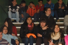 Interliceos Quemchi (13)