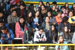 Interliceos Quemchi (2)