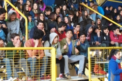 Interliceos Quemchi (28)