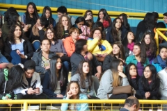 Interliceos Quemchi (3)