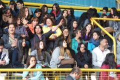 Interliceos Quemchi (4)