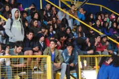 Interliceos Quemchi (5)