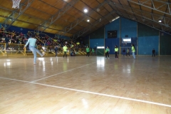 Interliceos Quemchi (88)