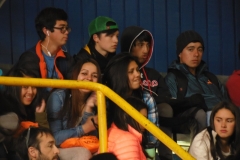 Interliceos Quemchi (90)