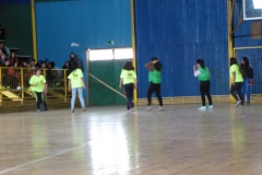 Interliceos Quemchi (91)