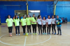 Interliceos Quemchi (92)