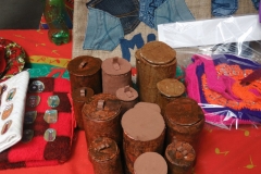 Muestra Educación Tecnologica 2016 (10)