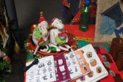 Muestra Educación Tecnologica 2016 (11)