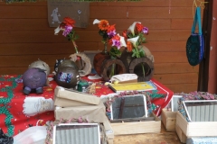 Muestra Educación Tecnologica 2016 (17)