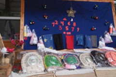 Muestra Educación Tecnologica 2016 (20)