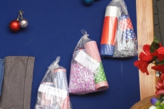 Muestra Educación Tecnologica 2016 (23)