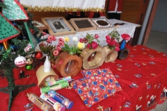 Muestra Educación Tecnologica 2016 (42)