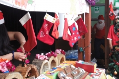 Muestra Educación Tecnologica 2016 (43)