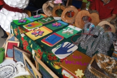 Muestra Educación Tecnologica 2016 (44)