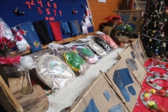 Muestra Educación Tecnologica 2016 (46)