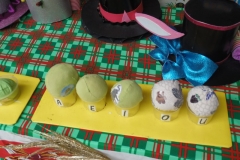 Muestra Educación Tecnologica 2016 (48)