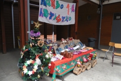 Muestra Educación Tecnologica 2016 (6)