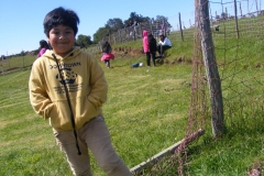 Paseo Enseñanza Básica (37)