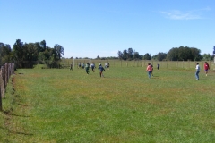 Paseo Enseñanza Básica (41)