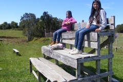 Paseo Enseñanza Básica (46)