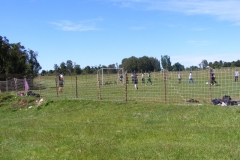 Paseo Enseñanza Básica (48)