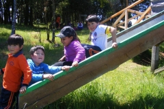 Paseo Enseñanza Básica (58)