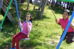 Paseo Enseñanza Básica (82)