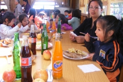 Paseo Enseñanza Básica (86)