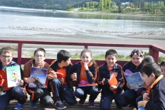 Picnic Literario 4° Básico (1)