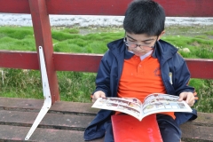 Picnic Literario 4° Básico (11)