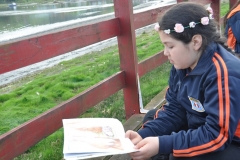 Picnic Literario 4° Básico (12)