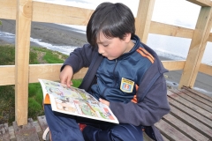 Picnic Literario 4° Básico (15)