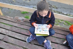 Picnic Literario 4° Básico (17)