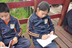 Picnic Literario 4° Básico (18)