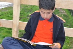 Picnic Literario 4° Básico (21)