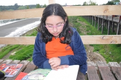 Picnic Literario 4° Básico (22)